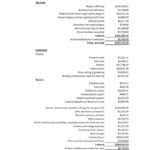 thumbnail of Income and Expenses for 2020